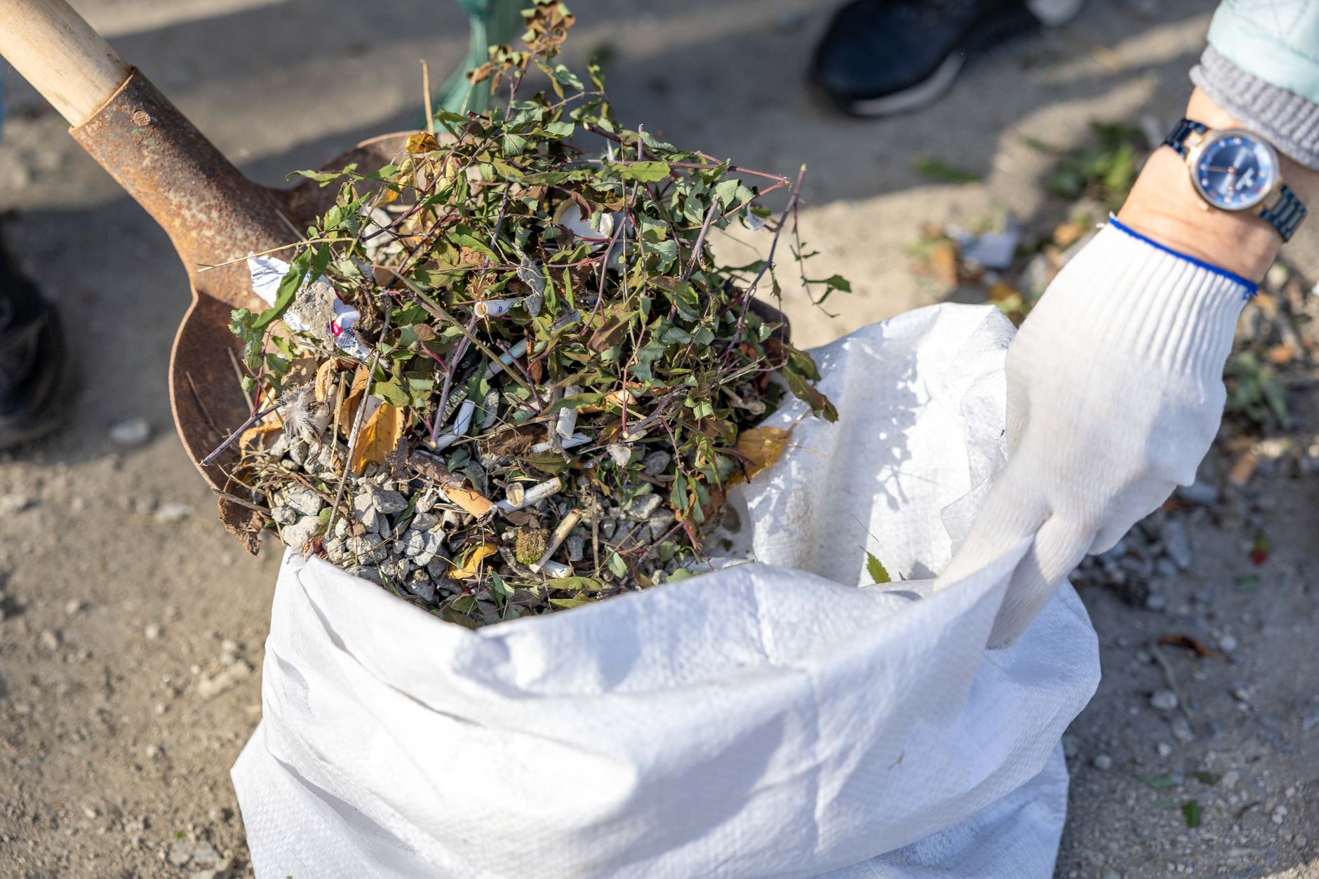 Garden waste and green waste clearance